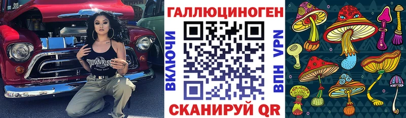Купить закладки  Кашира  Псилоцибиновые грибы MAGIC MUSHROOMS 